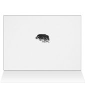 blanc de caresse de nounours de chiot mignon de (Intérieur Horizontal (Haut))