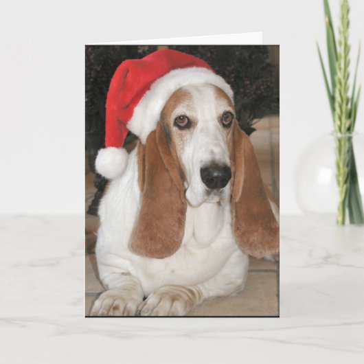 Blanc de carte de basset de Noël à l'intérieur (Devant)