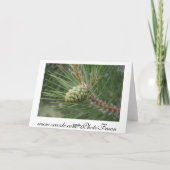 Blanc de carte de cône de pin de Nublile (Dos)