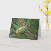 Blanc de carte de cône de pin de Nublile (Fleur jaune)