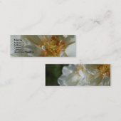 Blanc doux 2 Roses blanches Cartes de visite (Devant / Derrière)