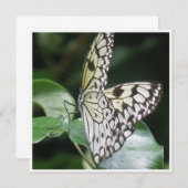 Blanc et invitation de papillon à ailes par noir (Devant / Derrière)