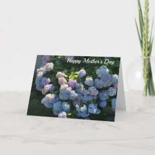 Blanc heureux de carte du jour de mère d'hortensia
