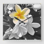 Blanc Noir Avec Un Frangipani Jaune, Horloge Mur (Recto)