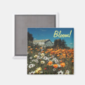 Blanc Orange Fleurs de marguerite Magnet (Recto/Verso)