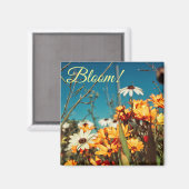 Blanc Orange Fleurs de marguerite Magnet (Recto/Verso)