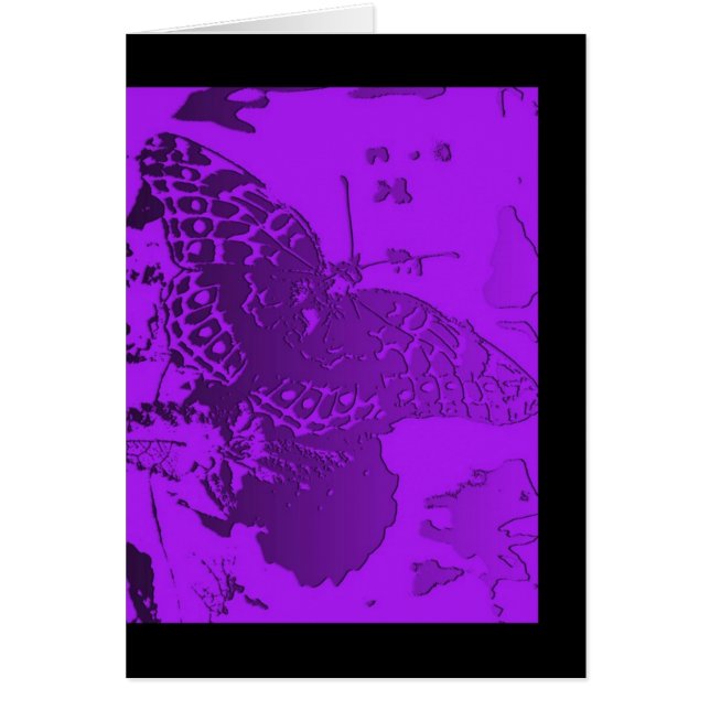 Blanc - papillon dans le pourpre (Devant)