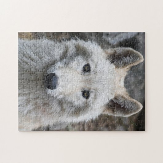 BLANC WOLF JIGSAW PUZZLE CHALLENGING (Horizontal)
