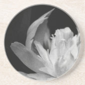 Blanc Zandsteen Onderzetter (Voorkant)