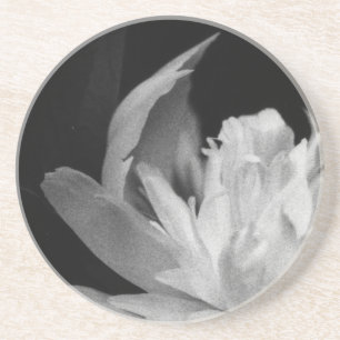 Blanc Zandsteen Onderzetter