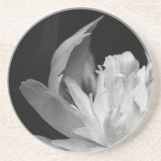 Blanc Zandsteen Onderzetter (Voorkant)