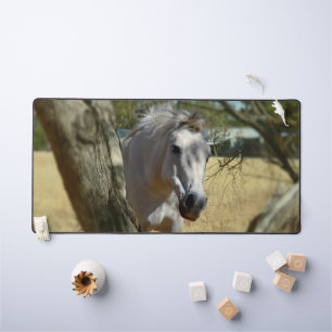 "Blanche Neige : Le Steed Majestic"