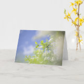 Blanco Bird Cherry Tree Blossom Flowers Sky Kaart (Gele Bloem)