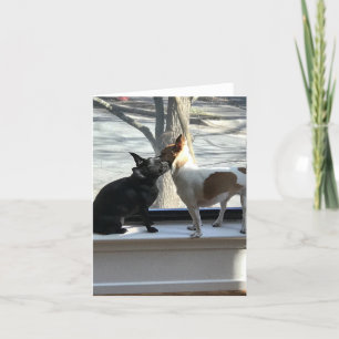 blanco briefkaart