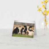 Blanco briefkaart met koeien (Gele Bloem)