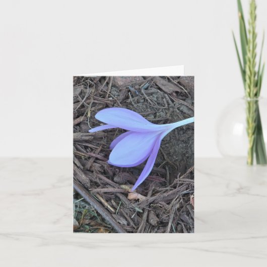 Blanco briefkaart, originele foto, krokus notitiekaartje (Voorkant)