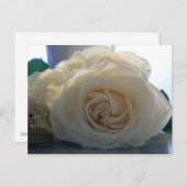 Blanco Briefkaart uit de "Classic White"-reeks (Voorkant / Achterkant)