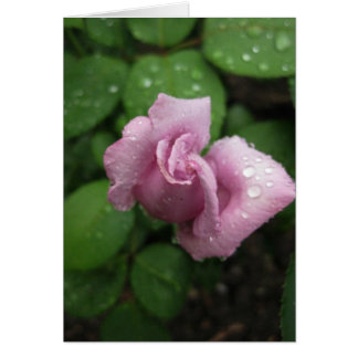 Blanco-Bud Roze droog