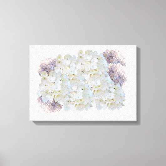 Blanco en roze hydrangeas Canvas Afdrukken (Voorkant)