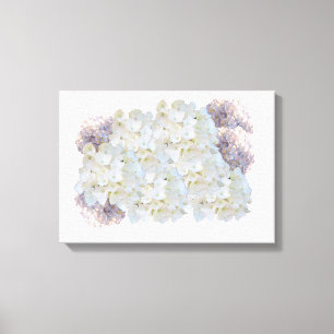 Blanco en roze hydrangeas Canvas Afdrukken