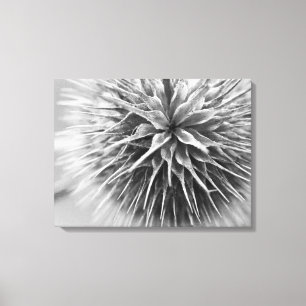 Blanco en witte fotoflorale fotografie canvas afdruk