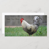 Blanco fotokaart, rooster (Voorkant / Achterkant)