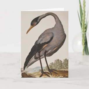 Blanco Heron Notecard uit de 18e eeuw Kaart