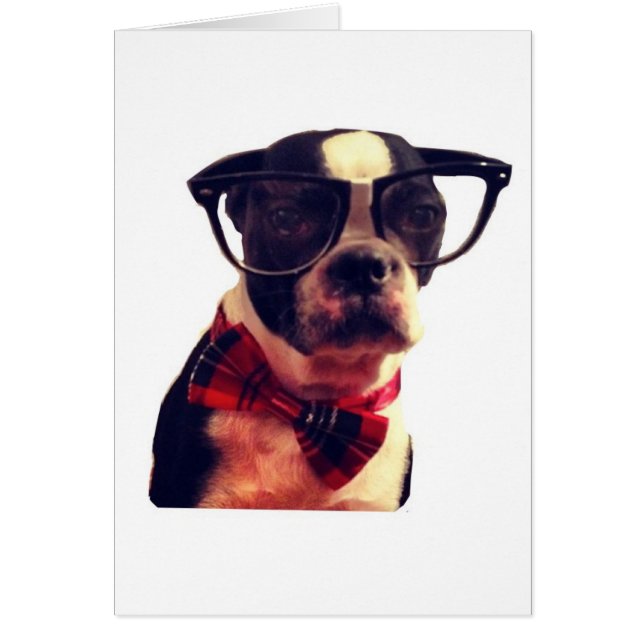 Blanco Hipster Boston Terrier-kaart (Voorkant)