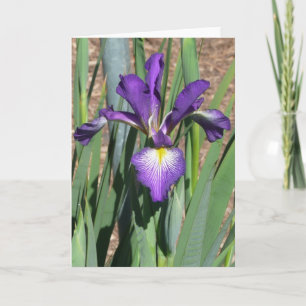 Blanco Iris-kaart -"LIJNDANCING" Kaart