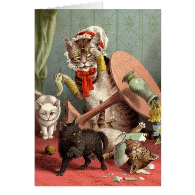 Blanco kaart - Kat Chaos (Voorkant)