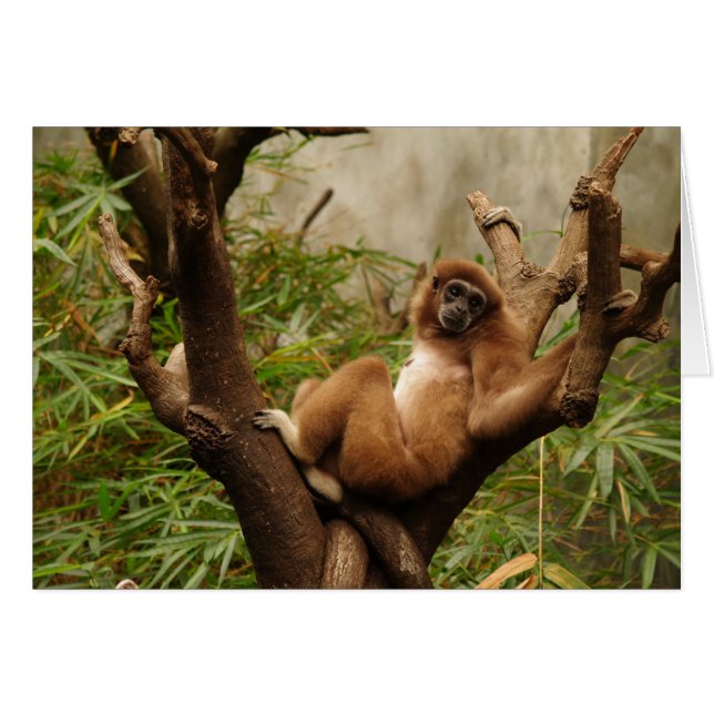 Blanco kaart met basisachtergrond (Voorkant Horizontaal)