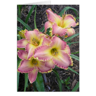 Blanco kaart met Mojave Morning