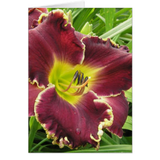 Blanco kaart met Sooo Paars Daylily