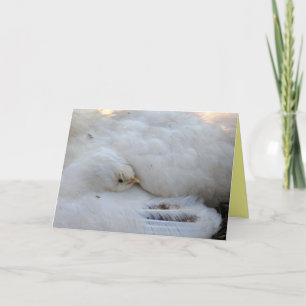 Blanco kaart met Verse