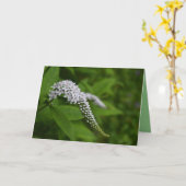 Blanco kaart - mooie witte gooseneck bloem (Gele Bloem)