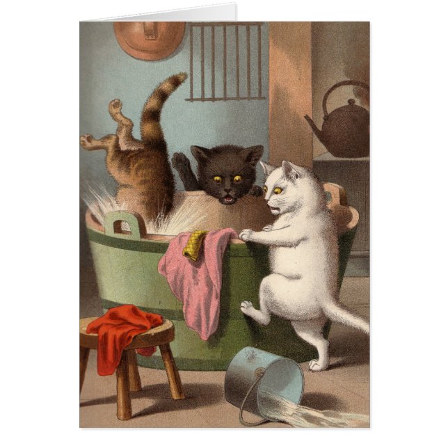 Blanco kaart - Naughty Cat-serie - Katten wasdag (Voorkant)