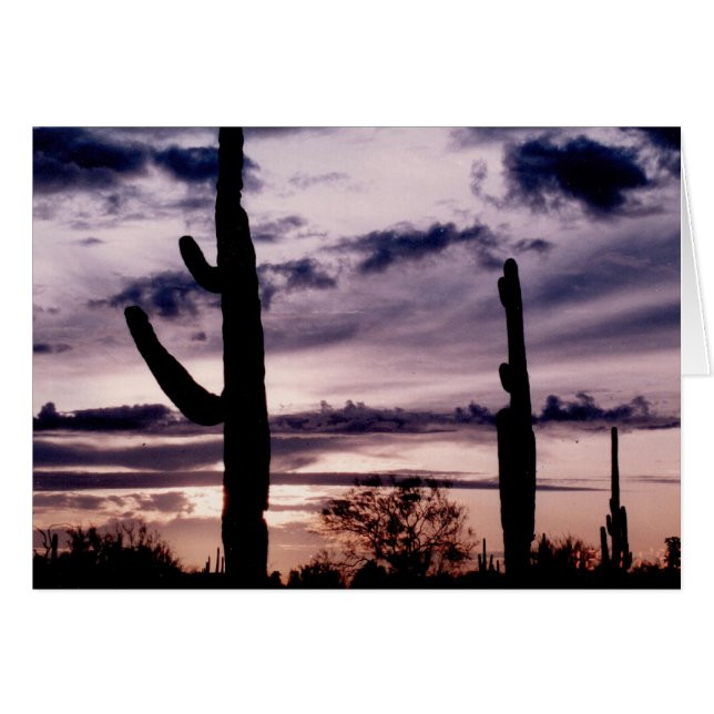 Blanco Kaart - Saguaro bij zonsondergang (Voorkant Horizontaal)