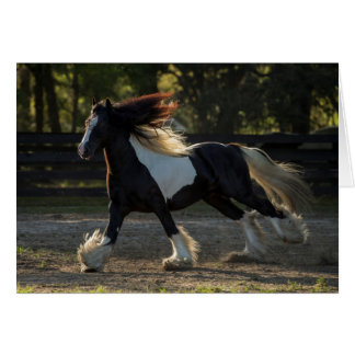 Blanco kaart voor gipsplaten