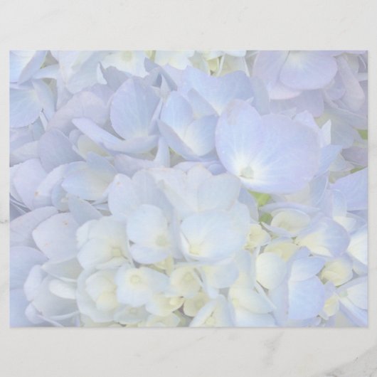Blanco papier voor lichte blauwe hydrangea-bruilof (Voorkant)