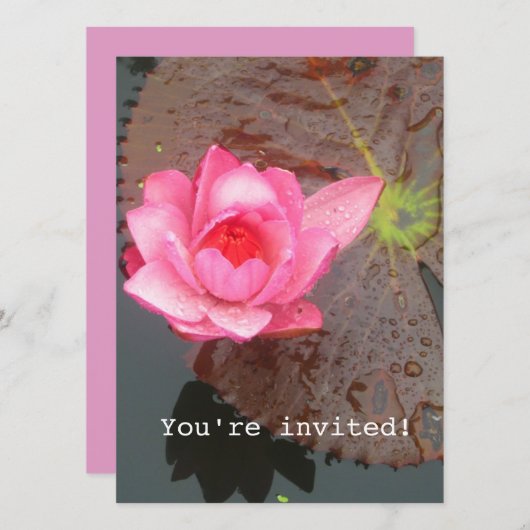 blanco roze waterlib kaart (Voorkant / Achterkant)