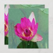 blanco roze waterlib kaart (Voorkant / Achterkant)