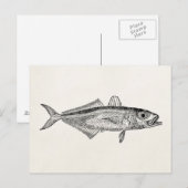 blanco Sjabloon van de schelpdiervisserij Briefkaart (Voorkant / Achterkant)