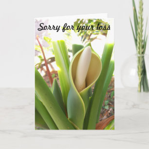 Blanco sympathiekaart met Philodendron bloom Kaart