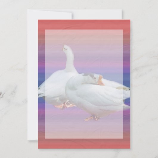 blanco uitnodiging, alle doeleinden kaart (Voorkant)