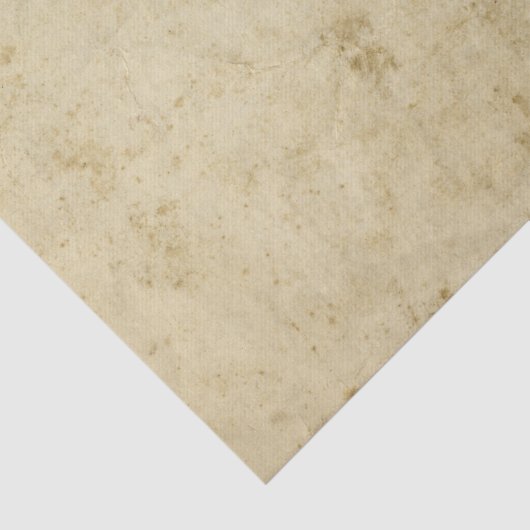 Blanco verkleurd perkamentoproer Antiek Tissuepapier (Detail)