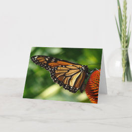 Blanco vlinder kaart