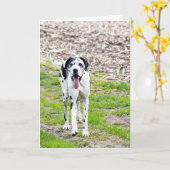 Blanco Wenskaart: groot gesteente Kaart (Gele Bloem)