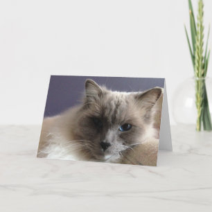 Blanco Wenskaart Kaart