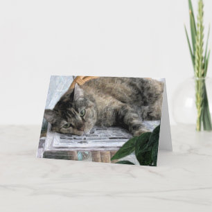 Blanco Wenskaart Kaart