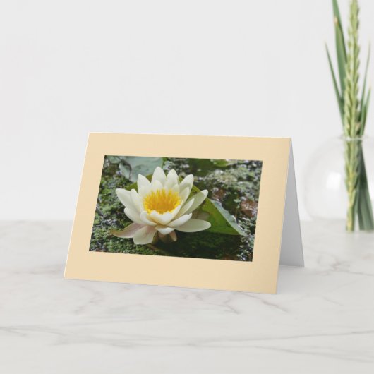 Blanco Wenskaart Kaart (Voorkant)